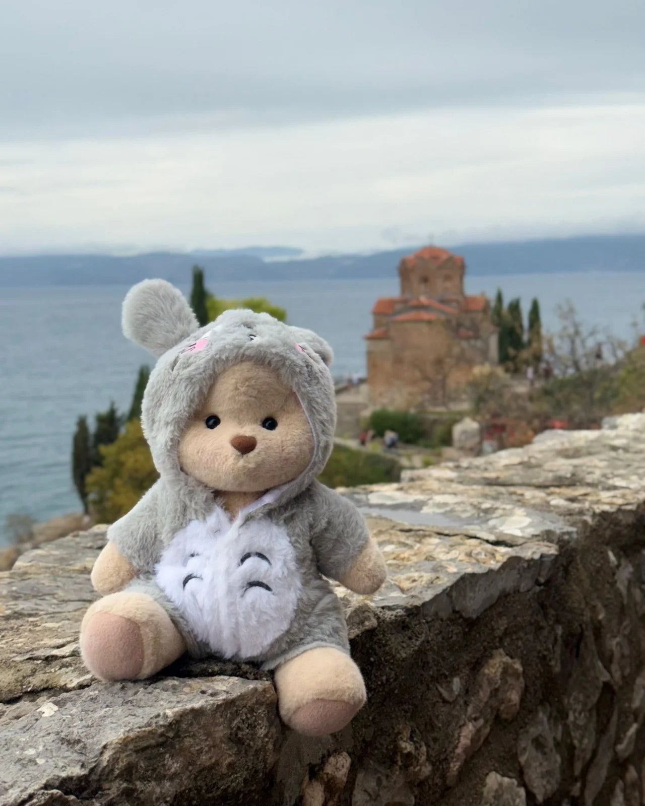 PuffyHug™ Totoro Puffy Kostümü - Puffy Hug Türkiye